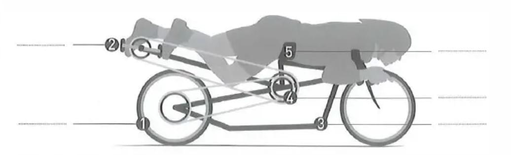 Bài tập Flow Chart IELTS Listening Bài tập Flow Chart IELTS Listening