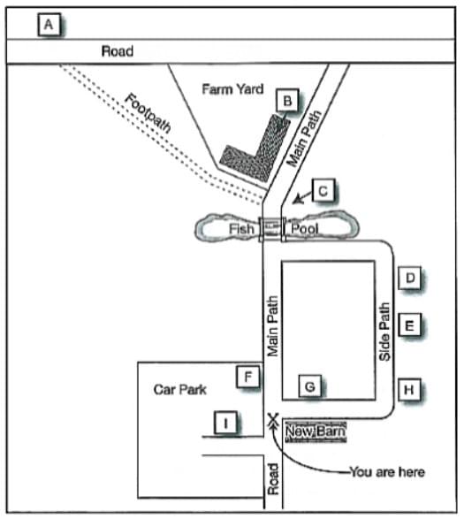 Bài tập Flow Chart IELTS Listening Bài tập Flow Chart IELTS Listening