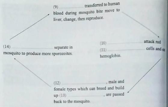 Chuyên đề IELTS Reading Details Questions Chuyên đề IELTS Reading Details Questions