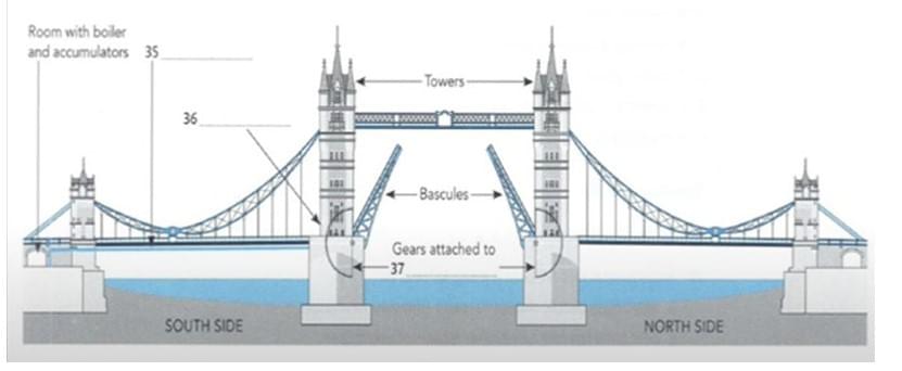 Bài tập Flow Chart IELTS Listening Bài tập Flow Chart IELTS Listening