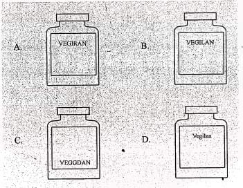 Chuyên đề Matching Information IELTS Listening Chuyên đề Matching Information IELTS Listening