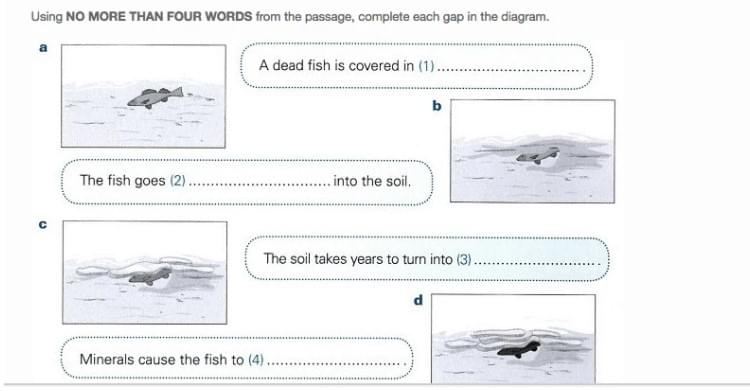Flowchart Completion Reading IELTS Flowchart Completion Reading IELTS