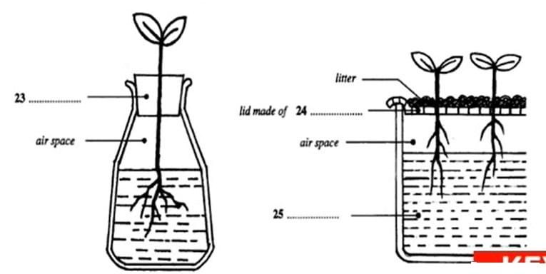 Bài tập Flow Chart IELTS Listening Bài tập Flow Chart IELTS Listening