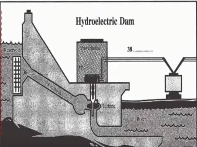 Bài tập Flow Chart IELTS Listening Bài tập Flow Chart IELTS Listening