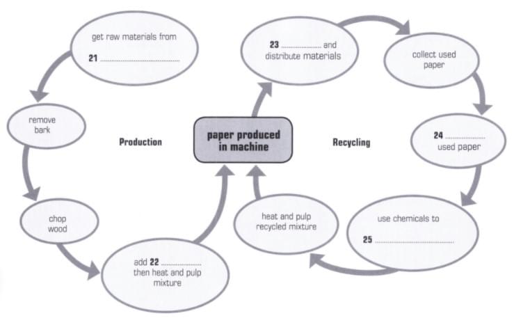 Bài tập Flow Chart IELTS Listening Bài tập Flow Chart IELTS Listening