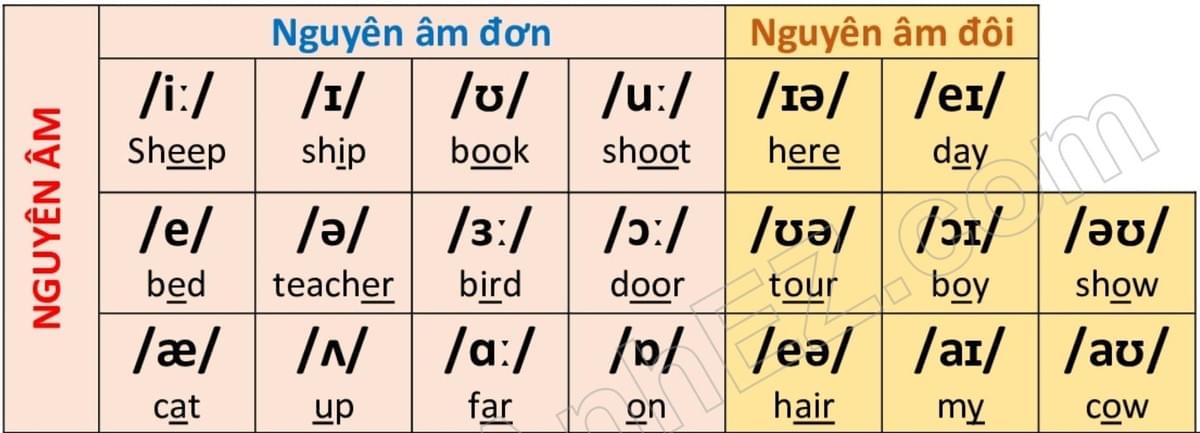 Bảng Chữ Cái Alphabet Tiếng Anh – Việt Bảng Chữ Cái Alphabet Tiếng Anh – Việt