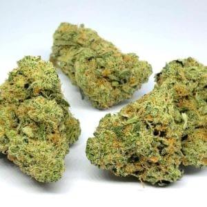 marijuana dispensary vancouver marijuana dispensary vancouver