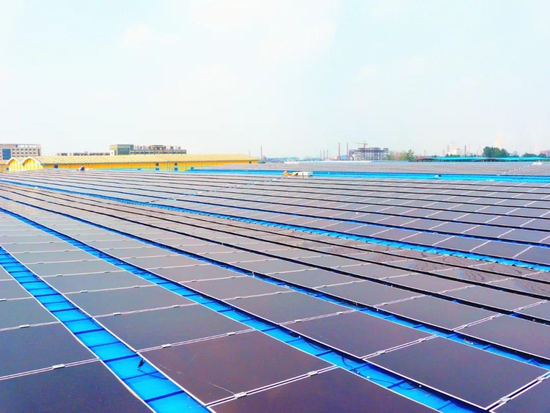 panneau photovoltaïque, panneaux solaire, panneau solaire thermique, panneau solaire piscine, panneaux solaires prix, panneau solaire souple, panneau solaire 12v, installation photovoltaique, panneaux solaires photovoltaïques, chauffage piscine solaire, panneau photovoltaique prix, ikea panneau solaire, les panneaux solaires, panneau solaire ikea, capteur solaire, plaque solaire, installation solaire, panneau photovoltaïque, panneaux solaire, panneau solaire thermique, panneau solaire piscine, panneaux solaires prix, panneau solaire souple, panneau solaire 12v, installation photovoltaique, panneaux solaires photovoltaïques, chauffage piscine solaire, panneau photovoltaique prix, ikea panneau solaire, les panneaux solaires, panneau solaire ikea, capteur solaire, plaque solaire, installation solaire,