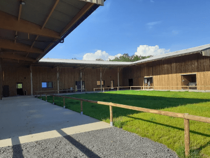 20 boxes avec abreuvoirs automatiques, litière en copeaux 20 boxes avec abreuvoirs automatiques, litière en copeaux