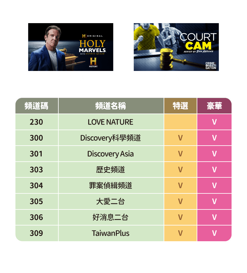 知性類型套餐 知性類型套餐