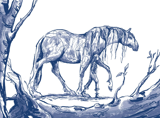 Section image