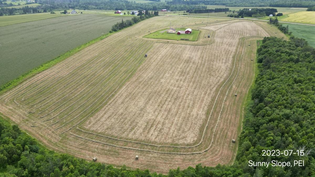 Section image