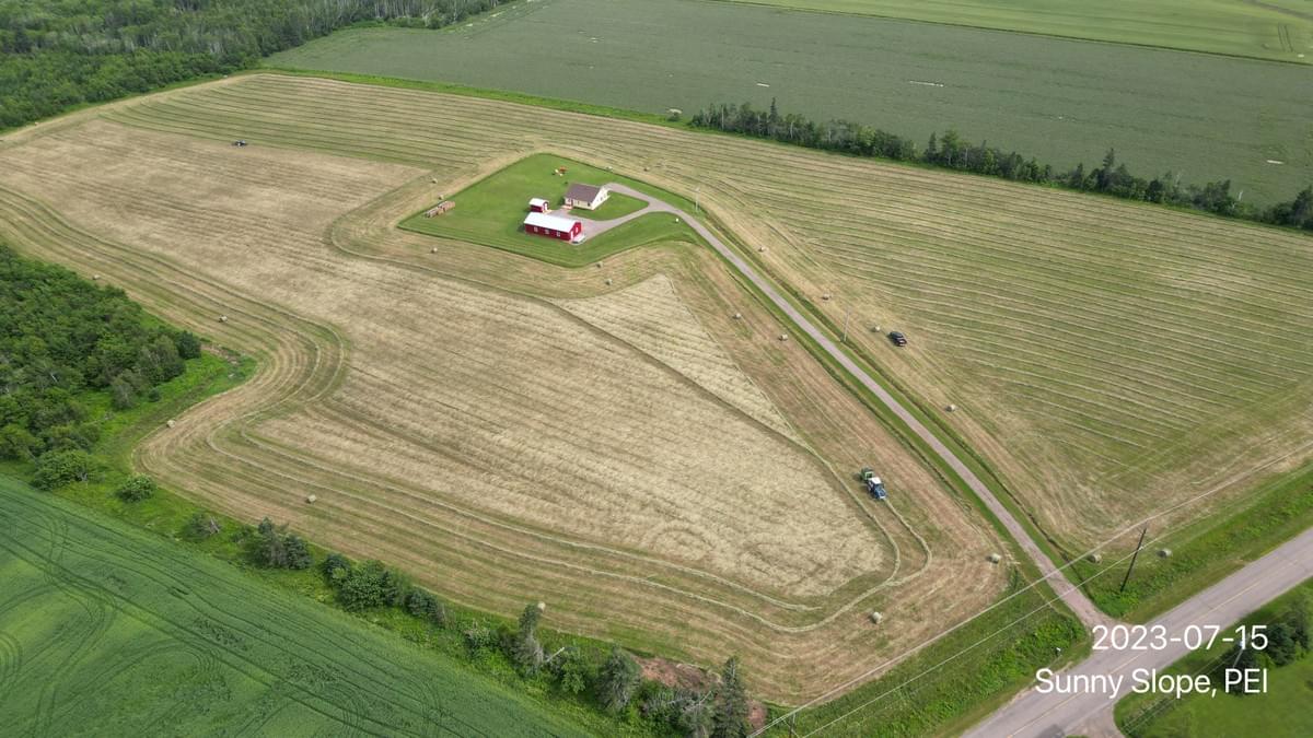 Section image