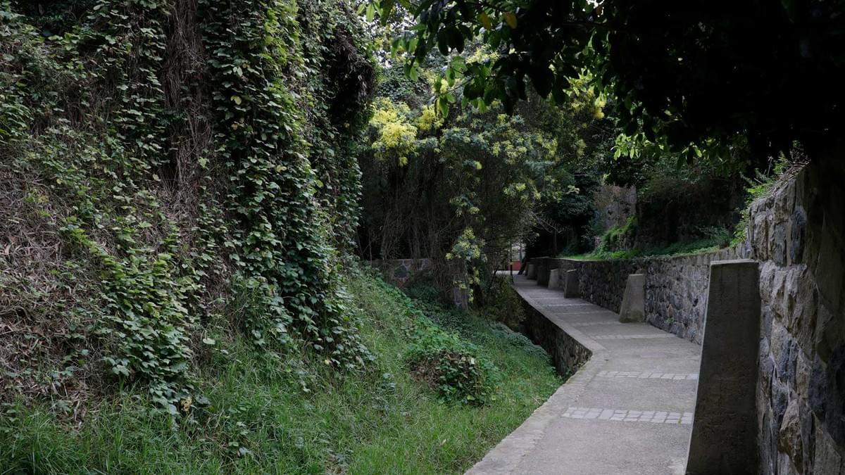 Section image
