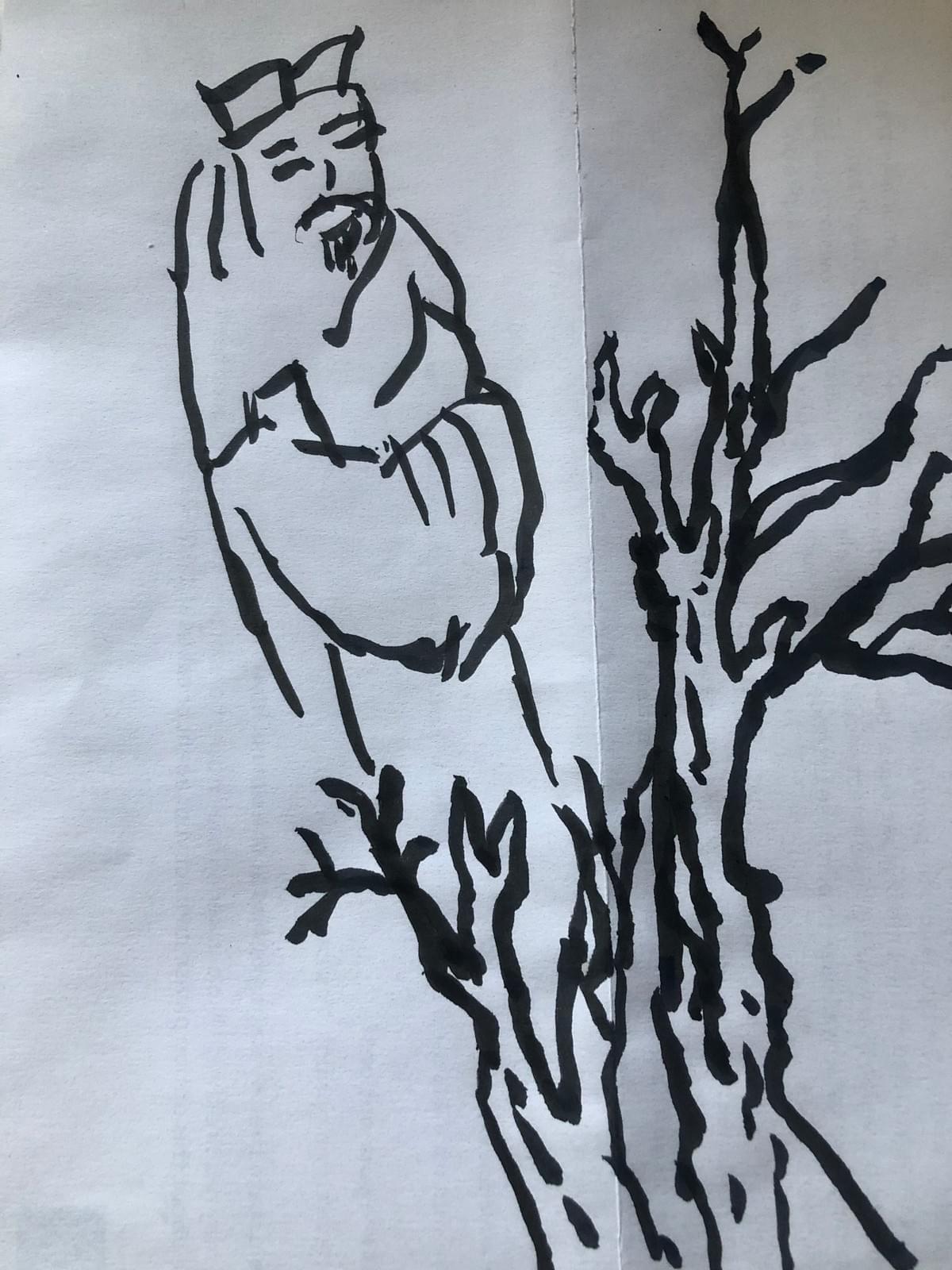 Section image
