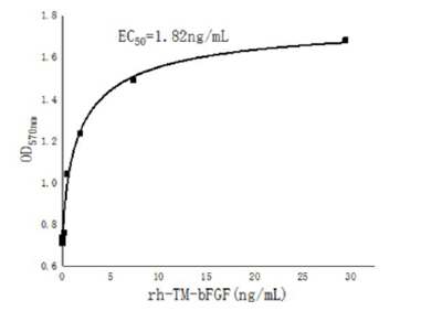 Recombinant human penetrating peptide basic fibroblast growth factor (rh-TM-bFGF)