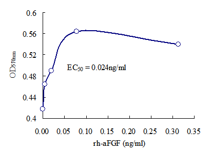 Recombinant Human Fibroblast Growth Factor-acidic (rh-aFGF)