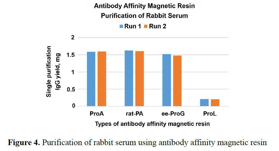 Alkaline-Tolerant Protein A (rat-PA) Magnetic Resin