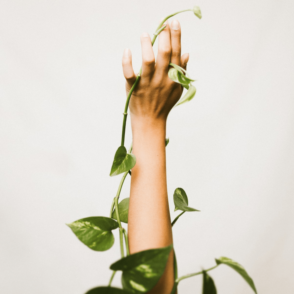 hand reaching up with vine growing up it hand reaching up with vine growing up it