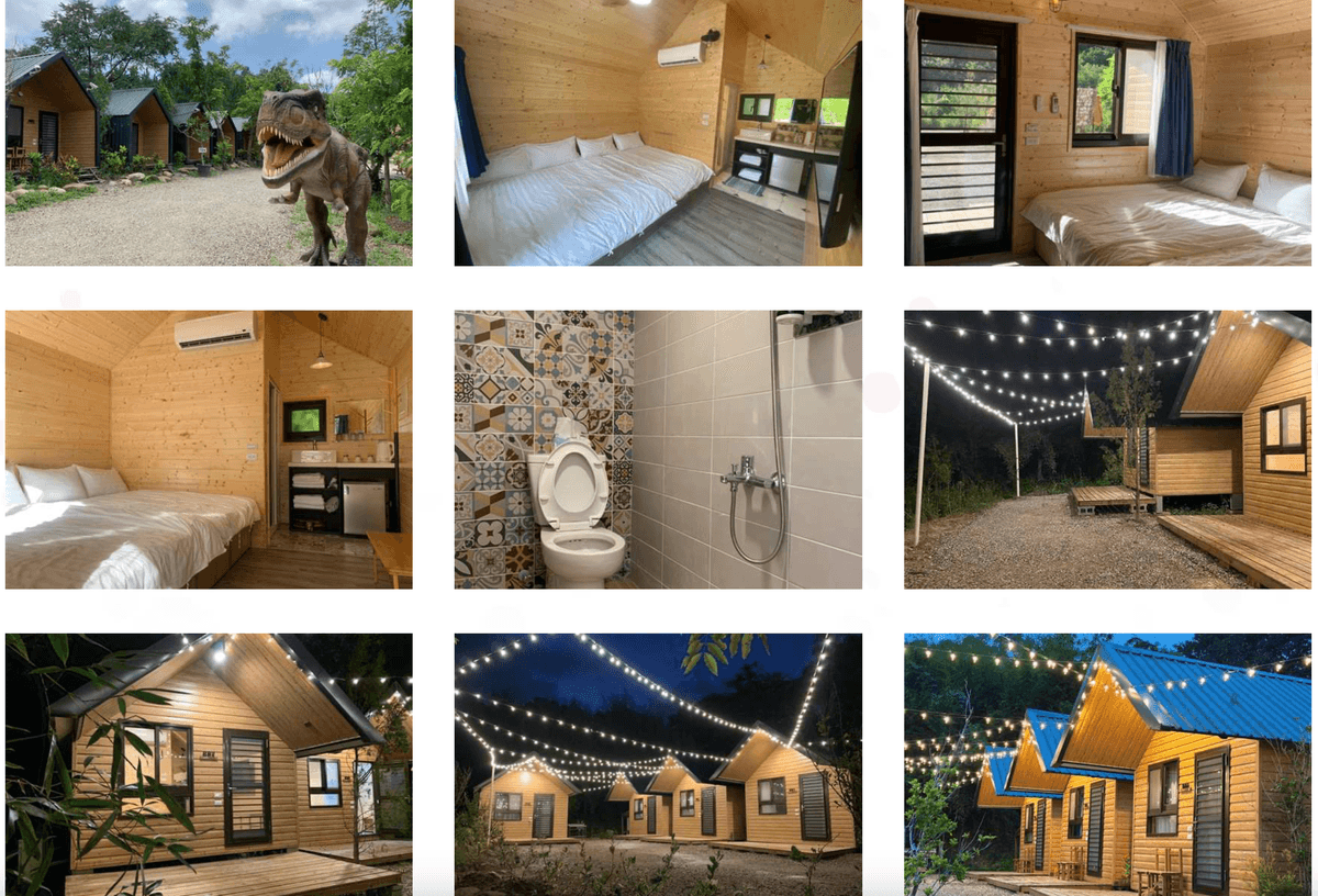 明星保母車出發!泰雅櫻花季!上帝部落司馬庫斯.蟬說霧繞一泊四食.秘境日見森嵐3日