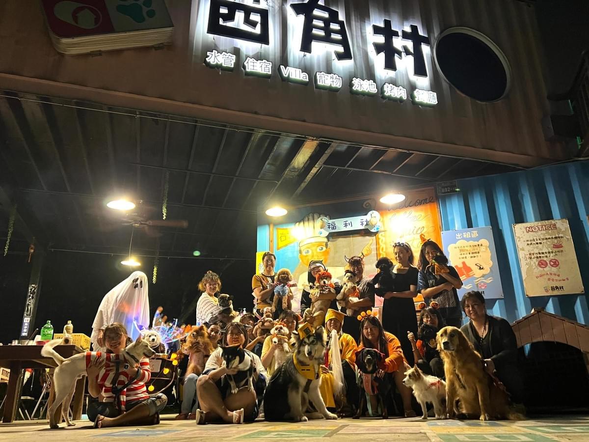 毛寶貝萬聖派對~南投右下四角村包園.紫南宮還願.武岫農圃茶園.銀杏森林.懶人烤肉2日
