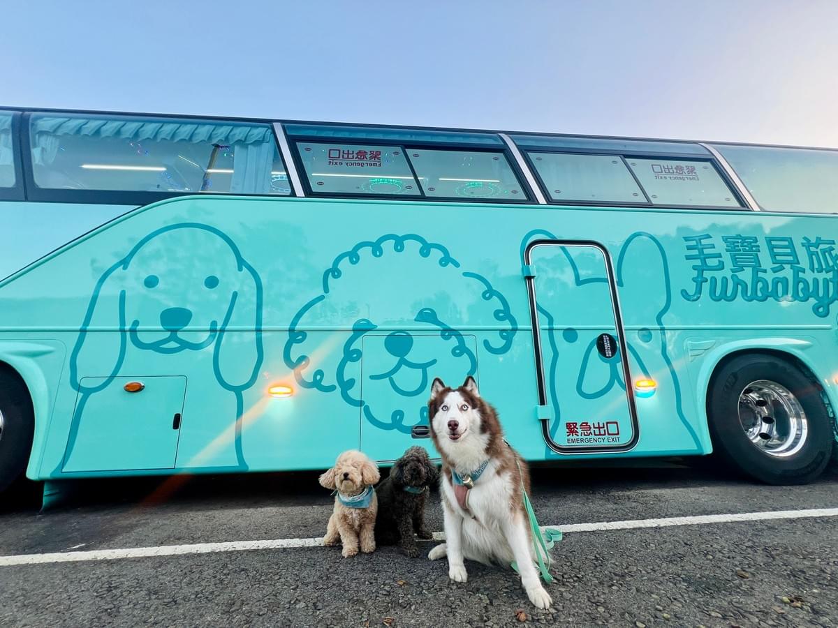 2026一起生活節 X 毛寶貝旅遊|寵物友善基隆八斗子直達專車