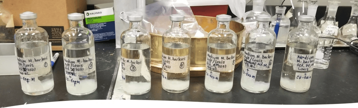 Methane yield increase, Biogas, Anaerobic Digester Expert witness, Anaerobic Digester operation and maintenance, microbial, bacteria's, microorganisms. Methane yield increase, Biogas, Anaerobic Digester Expert witness, Anaerobic Digester operation and maintenance, microbial, bacteria's, microorganisms.