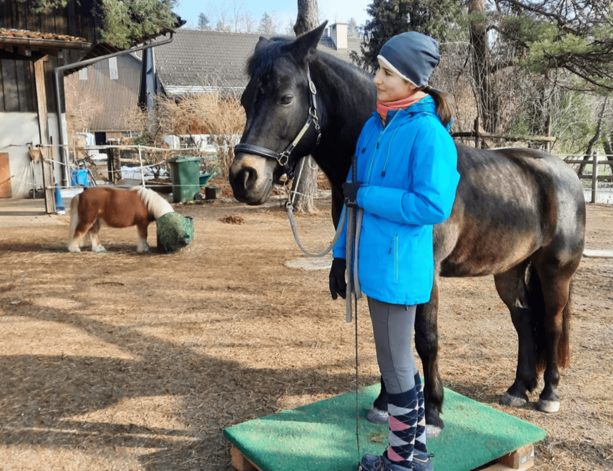 Coaching mit Pferden, Führungskompetenz Coaching mit Pferden, Führungskompetenz