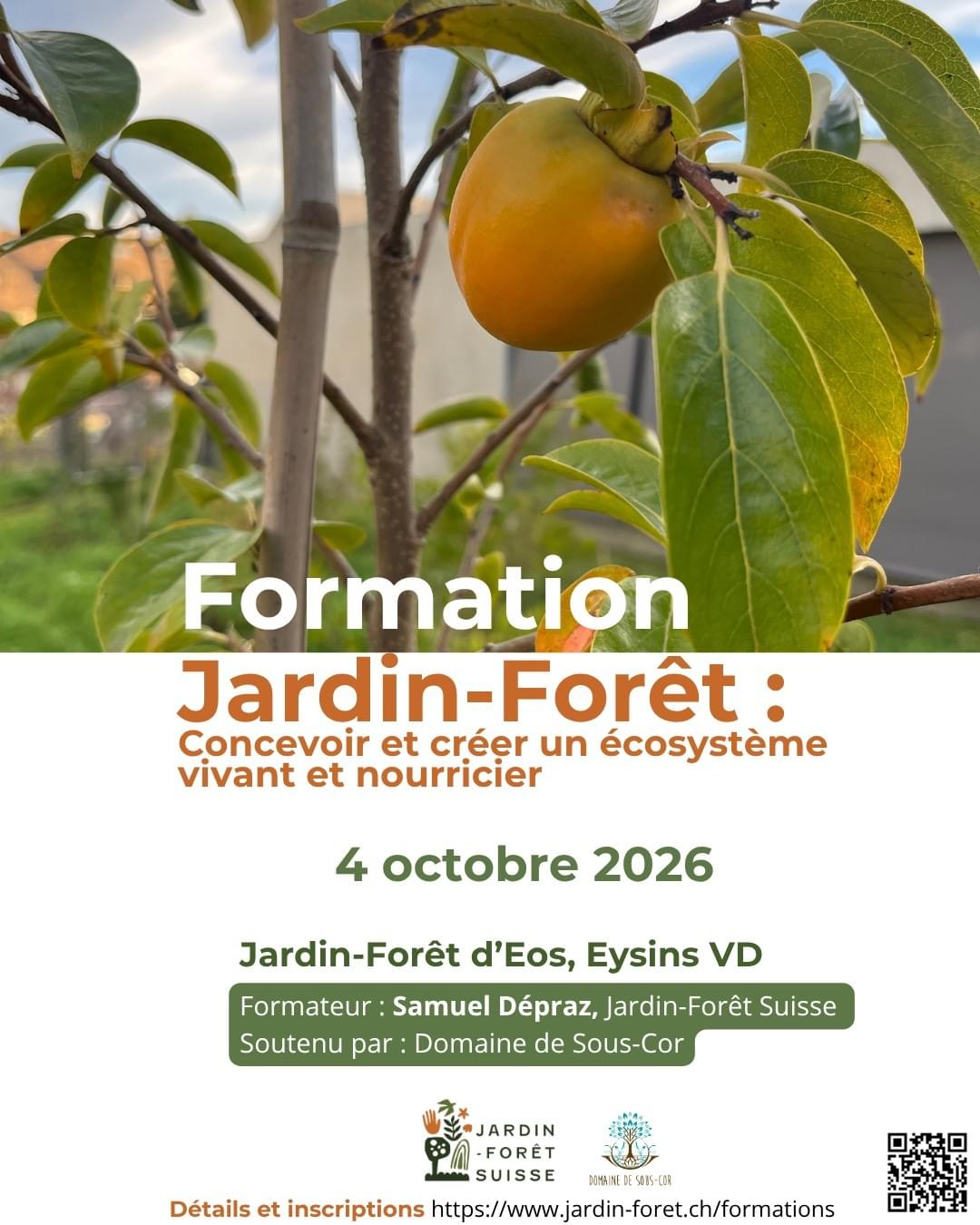 Formation aux techniques des jardins-forĂȘts, pour tous Formation aux techniques des jardins-forĂȘts, pour tous