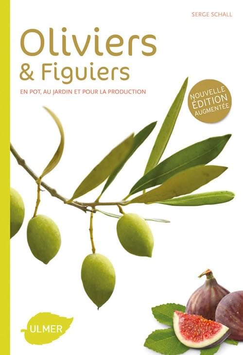 Oliviers et figuiers, livre, ulmer Oliviers et figuiers, livre, ulmer