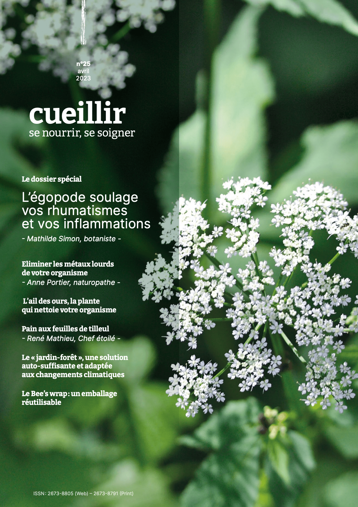 Cueillir se nourrir et se soigner, article jardins-forêts Cueillir se nourrir et se soigner, article jardins-forêts