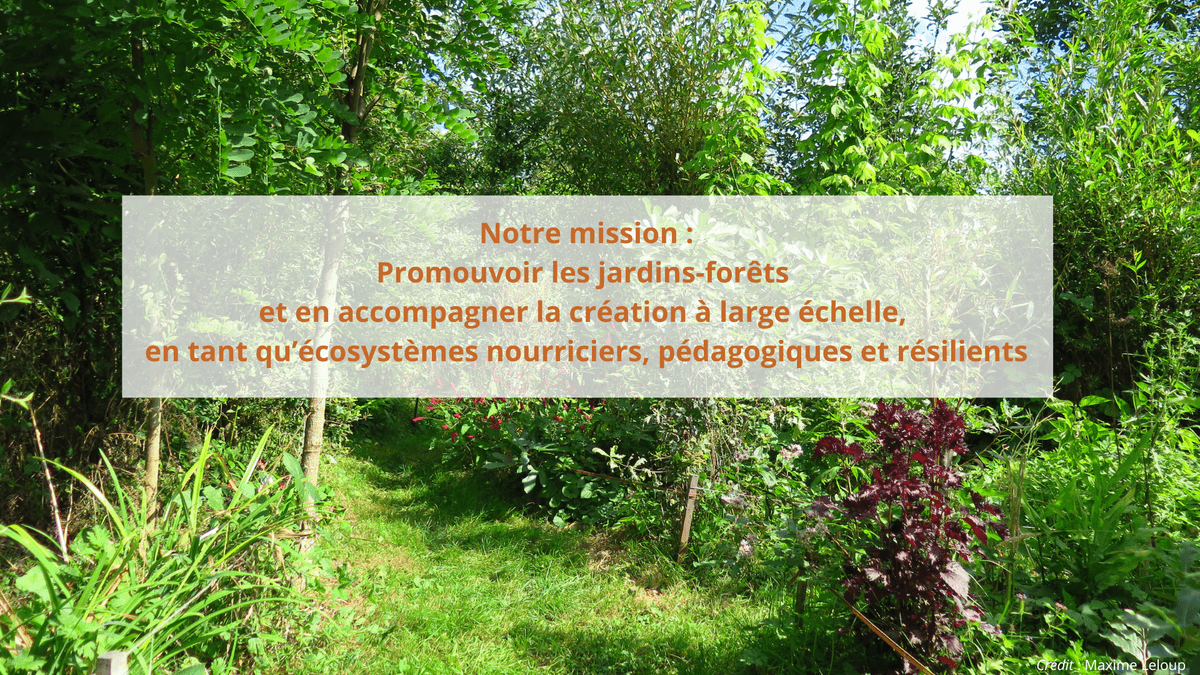 Jardin-Forêt Suisse, vision et mission Jardin-Forêt Suisse, vision et mission