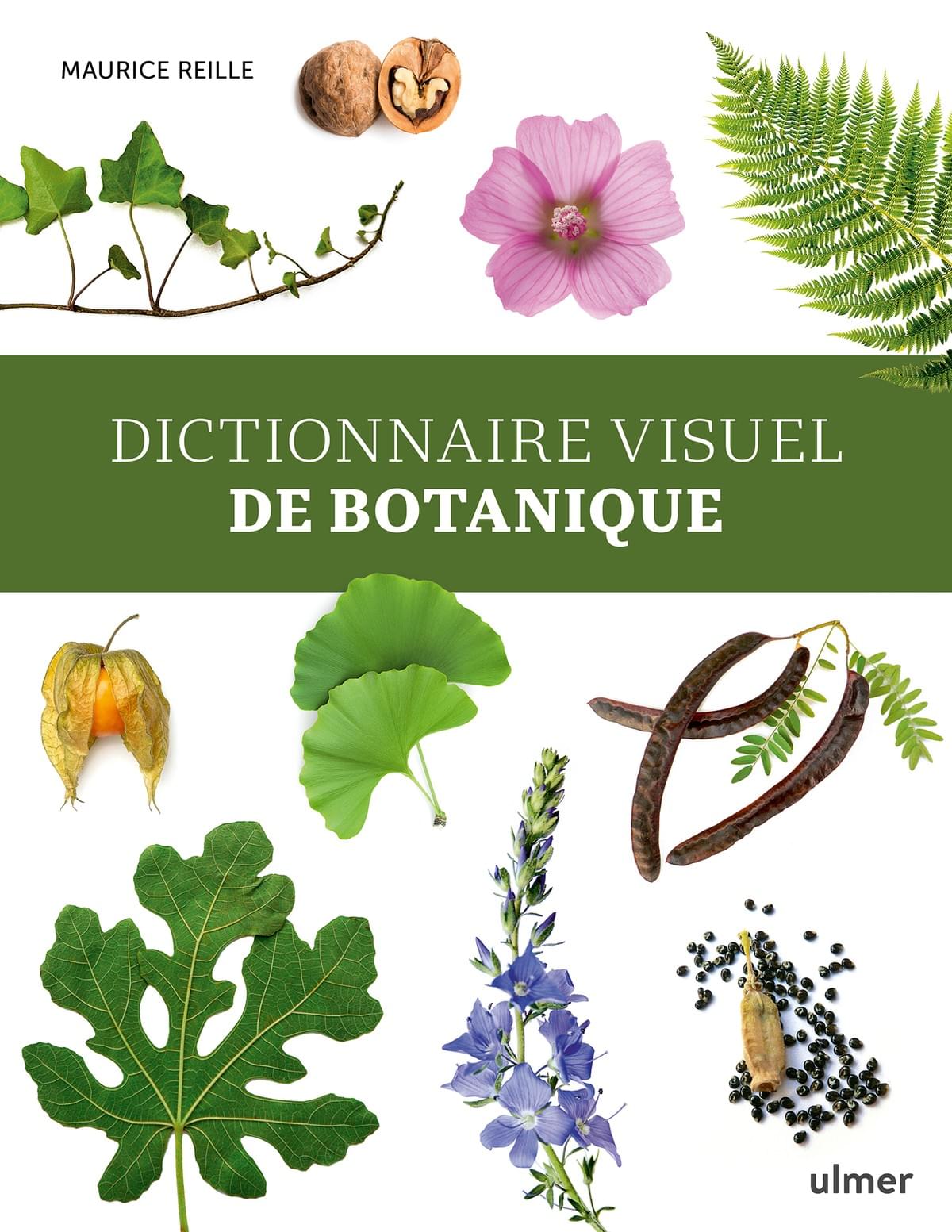 Dictionnaire visuel de botanique, livre, ulmer Dictionnaire visuel de botanique, livre, ulmer