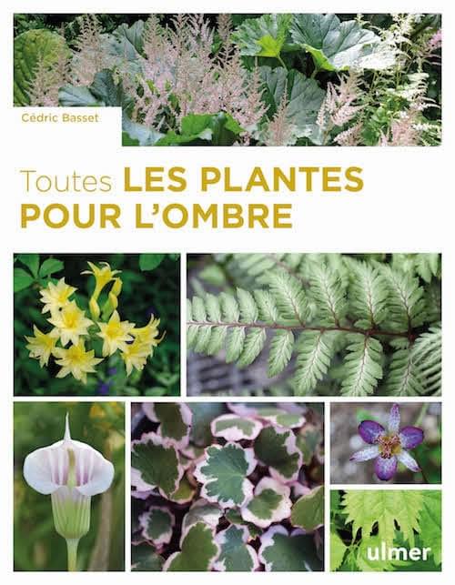 Toutes les plantes pour l'ombre, ulmer, livre Toutes les plantes pour l'ombre, ulmer, livre