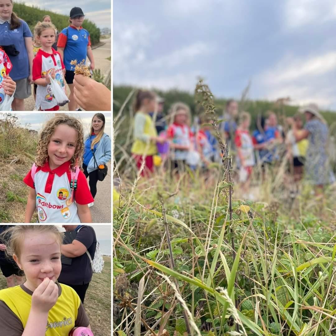 farm kent canterbury foraging days out local veg farm kent canterbury foraging days out local veg