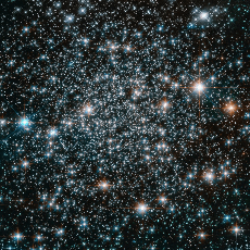 Section image