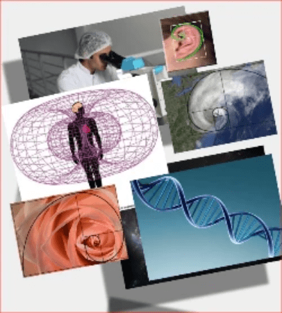 physique quantique et loi de l'attraction physique quantique et loi de l'attraction