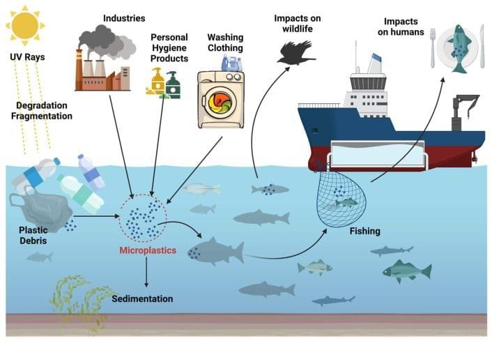 Microplastics: A Real Global Threat for Environment and Food Safety: A State of the Art Review Microplastics: A Real Global Threat for Environment and Food Safety: A State of the Art Review