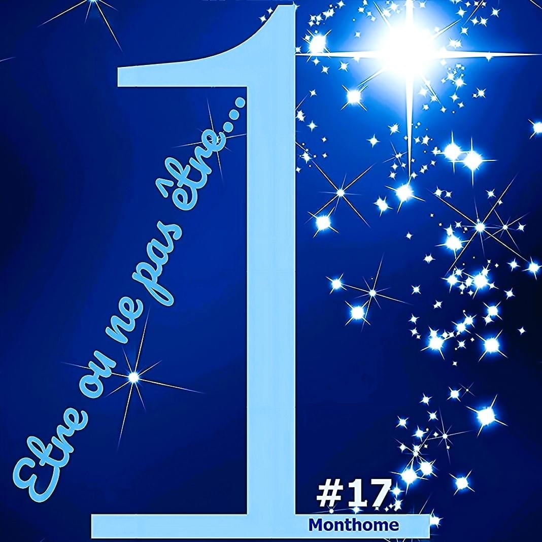 10 toiles Collection Bleue