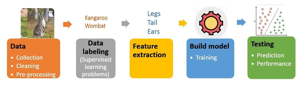 Data Labeling Structure Data Labeling Structure