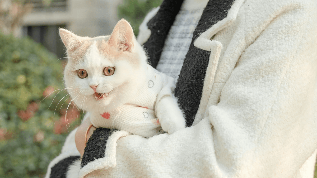 2026 寵物殯葬課程推薦|王別玄老師親授,掌握寵物臨終服務專業職能 2026 寵物殯葬課程推薦|王別玄老師親授,掌握寵物臨終服務專業職能