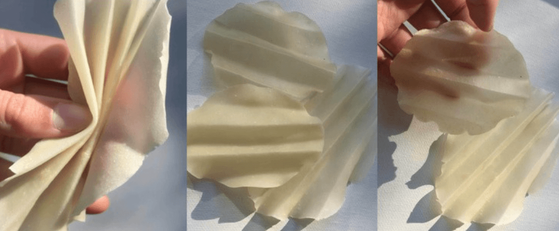 Algae-Based Films Algae-Based Films