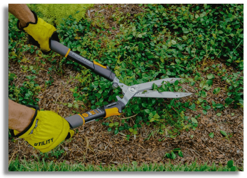 landscaping tampa, landscaping near me, tampa landscaping landscaping tampa, landscaping near me, tampa landscaping