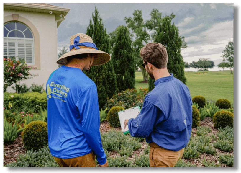 landscaping tampa, landscaping near me, tampa landscaping landscaping tampa, landscaping near me, tampa landscaping