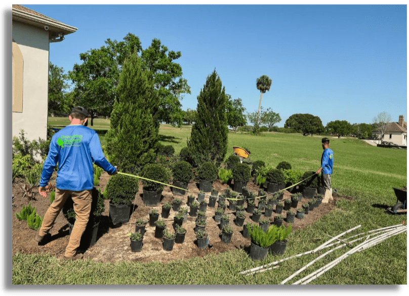 landscaping tampa, landscaping near me, landscape build landscaping tampa, landscaping near me, landscape build