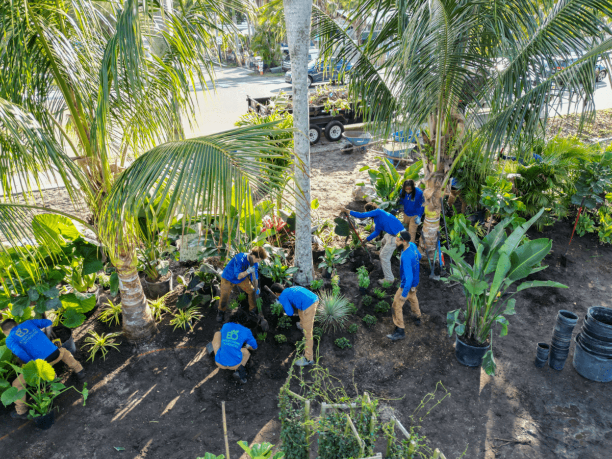 landscaping tampa, landscaping near me, landscape build landscaping tampa, landscaping near me, landscape build