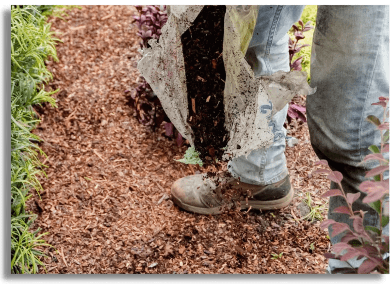 landscaping tampa, landscaping near me, mulching landscaping tampa, landscaping near me, mulching