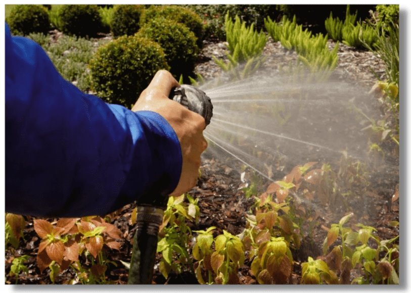 landscaping tampa, landscaping near me, pressure washing landscaping tampa, landscaping near me, pressure washing