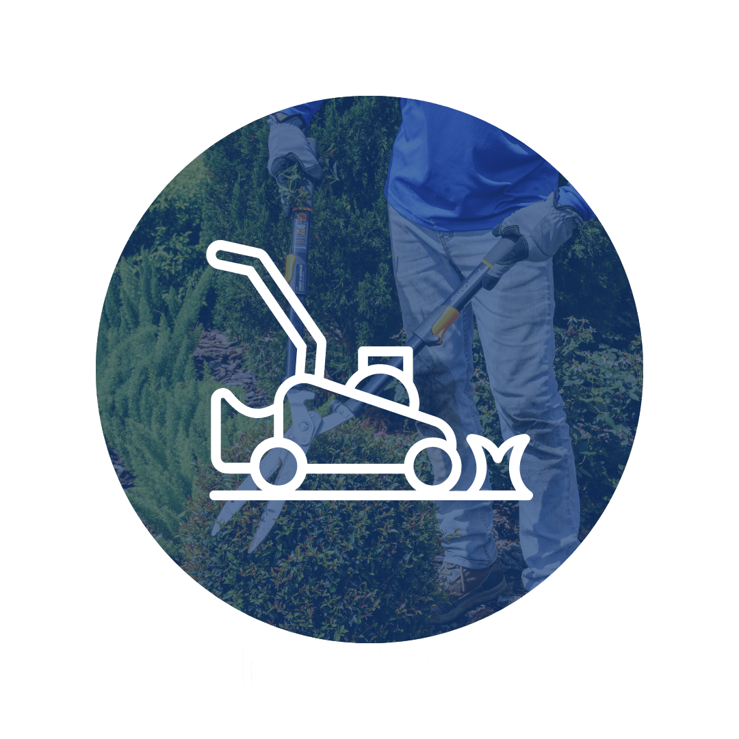 tampa landscape maintenance, landscape maintenance, maintain tampa landscape, maintain landscape tampa landscape maintenance, landscape maintenance, maintain tampa landscape, maintain landscape