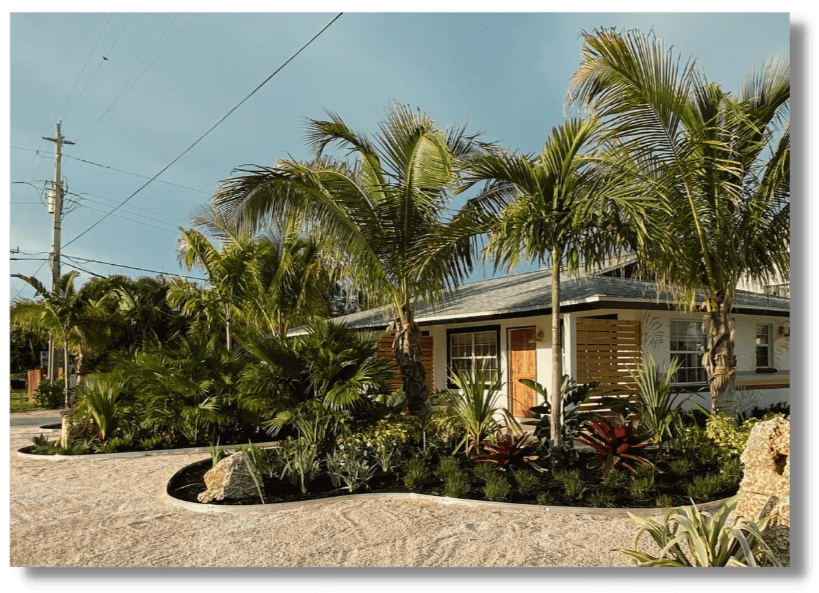 landscaping tampa, landscaping near me, tampa landscaping landscaping tampa, landscaping near me, tampa landscaping